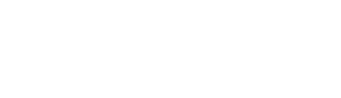 THE CENTRAL SAFETY SUPPLIES_white